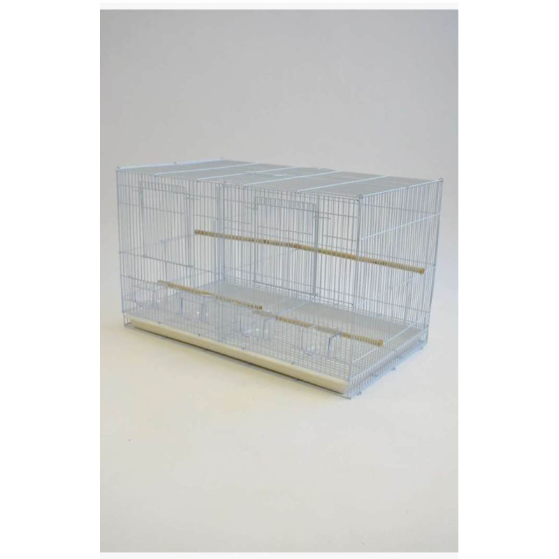 (A639) Small Fun Ferris Wheel Bird Toy
