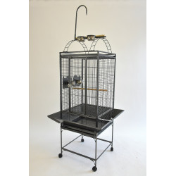 (PL01) 20" Play Top Parrot...