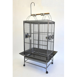 (PL03) 32" Play Top Parrot...