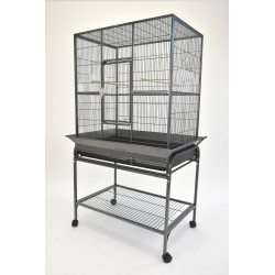 (FL01) 32" Parrot Bird...