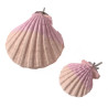 (A991S) Small Edible Calcium Clam Parrot Bird Perch