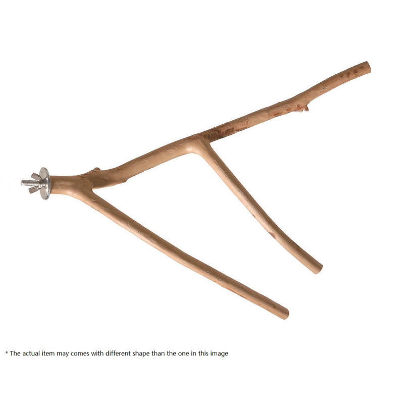 (A829-1) Small Multi Branch Natural Wood Perch for Parrot Bird