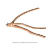 (A829-3) Large Multi Branch Natural Wood Perch for Parrot Bird
