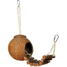 (S021) Natural Coconut Hideaway Parrot Bird Toy with Ladder