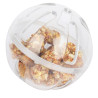 (A1054) 3.5" Plastic Foraging Ball for Parrot Bird