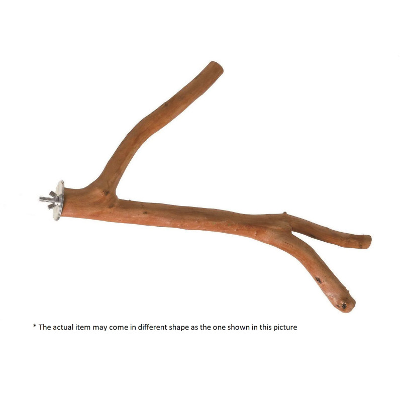 (A829-4) Extra Large Multi Branch Natural Wood Perch for Parrot Bird