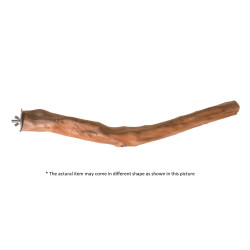 (A828-8) Single Branch...
