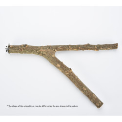 (A1579XL) Multi Branch...