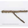 (A1579M) Multi Branch Pepper Wood Perch for Parrot Bird M
