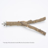 (A1579S) Multi Branch Pepper Wood Perch for Parrot Bird S