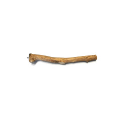 (JSPS01) Java wood Single...