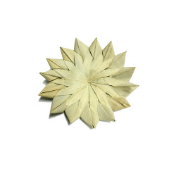 (LPLF12) Large Palm Leaf...