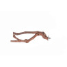 (A008-2) Grapevine Multi Branch Perch Medium