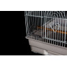 (6012) Square Top Small Bird Cage