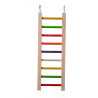(A819-2) Large Parrot Ladder with Colourful Steps