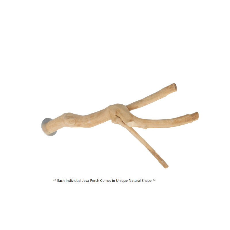 (A1157S) Java Wood Multi Branch Perch S