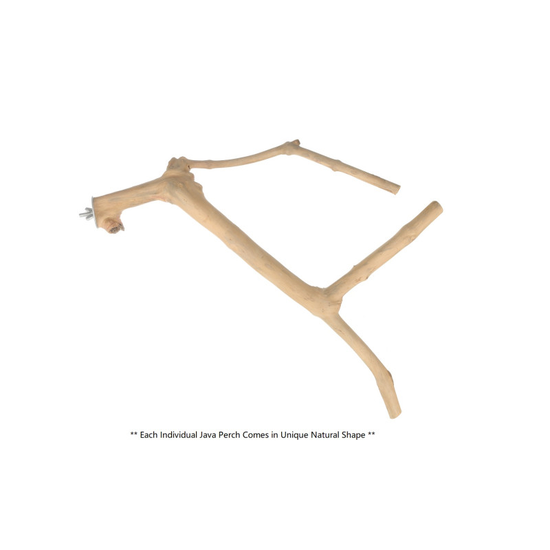 (A1157L) Java Wood Multi Branch Perch L
