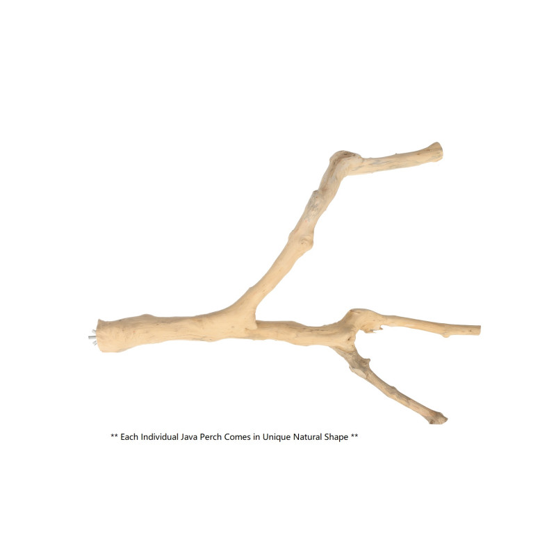 (A1157XL) Java Wood Multi Branch Perch XL