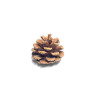 (T02) Natural Pine Cone (10 pcs)